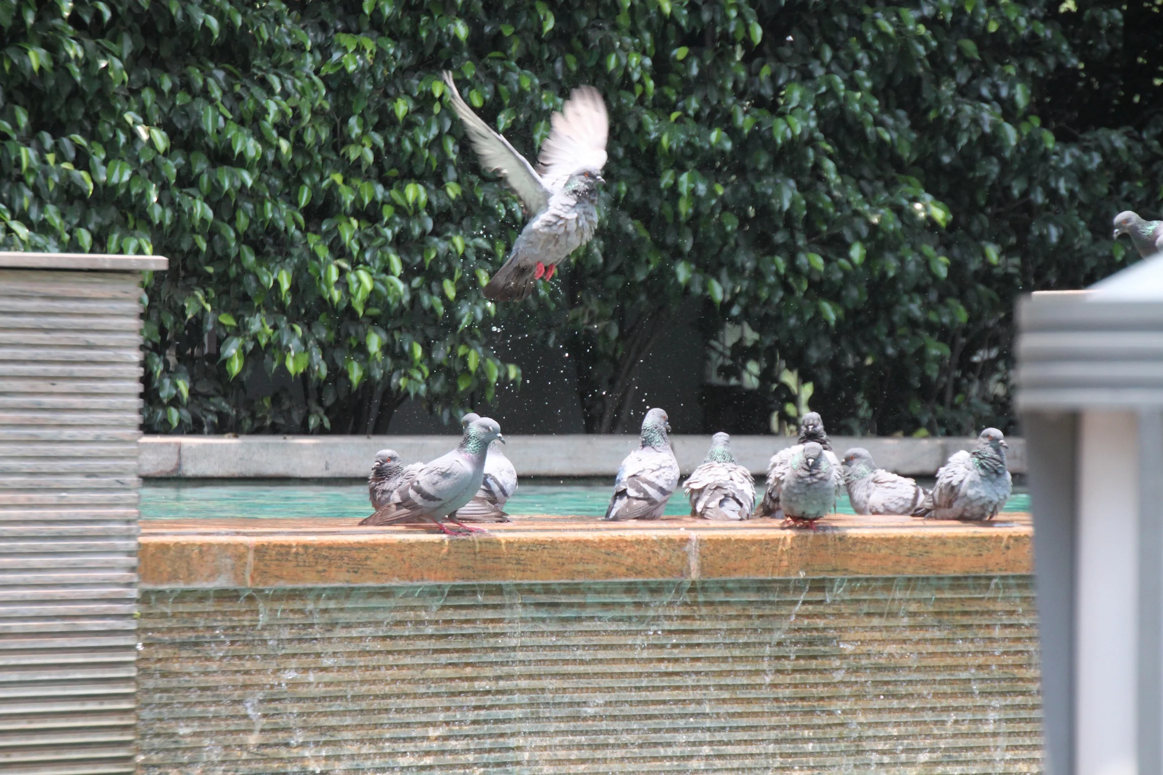 Liberation from the Opinions of Others