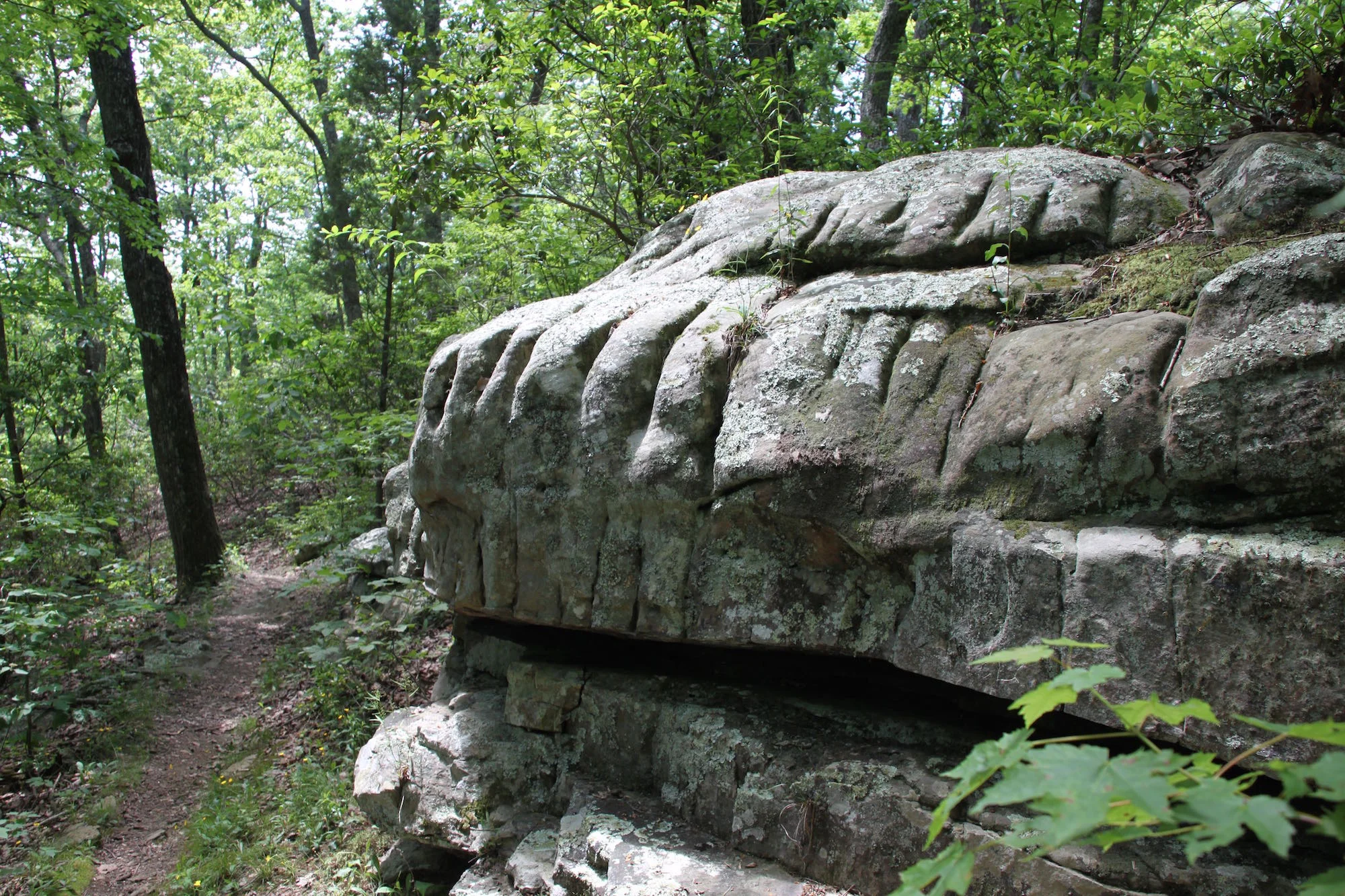 7 Ways Meditation Will Change Your Life