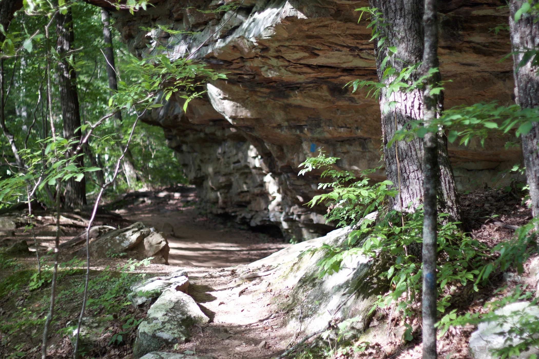 Nature: Nourishment for the Spirit